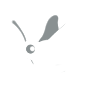 Drawing of a small white hummingbird moth